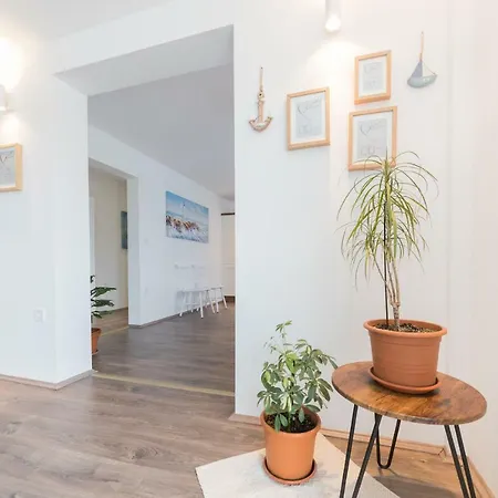 Zara Apartment Zaton (Zadar)